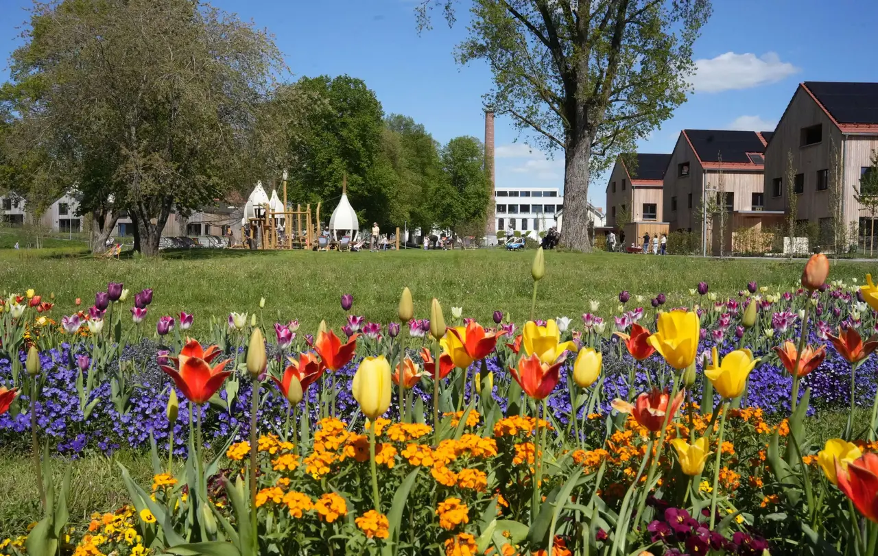 Landesgartenschau 2024 in Wangen.