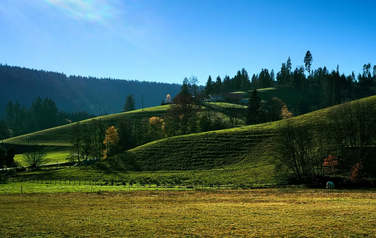 Wiesenlandschaft bei Baiersbronn