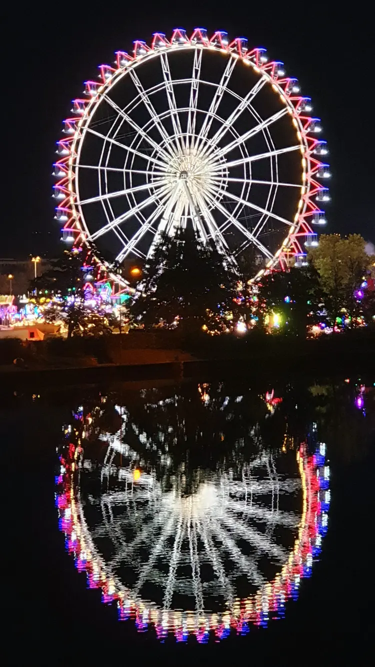 Das doppelte Riesenrad: Die Spiegelung im Neckar.