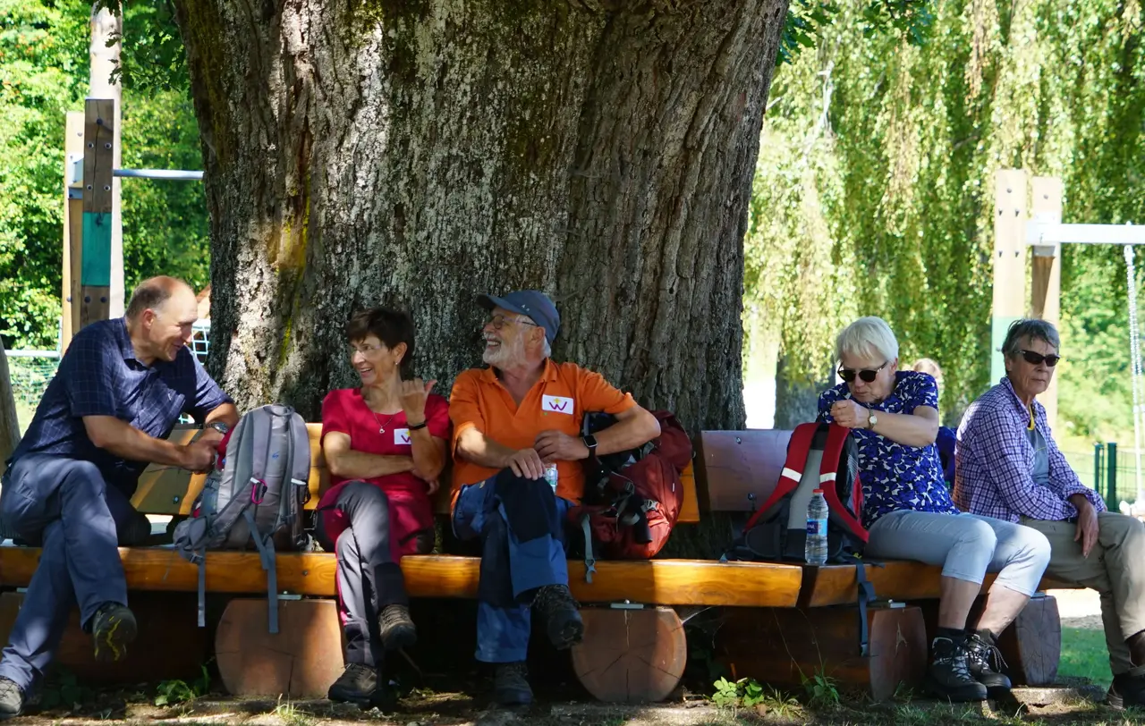 Vesper unter der Hornberger Eiche, die mit einem Alter von rund 450 Jahren, einem Umfang von mehr als fünf Metern und 25 Metern Kronendurchmesser beeindruckt.