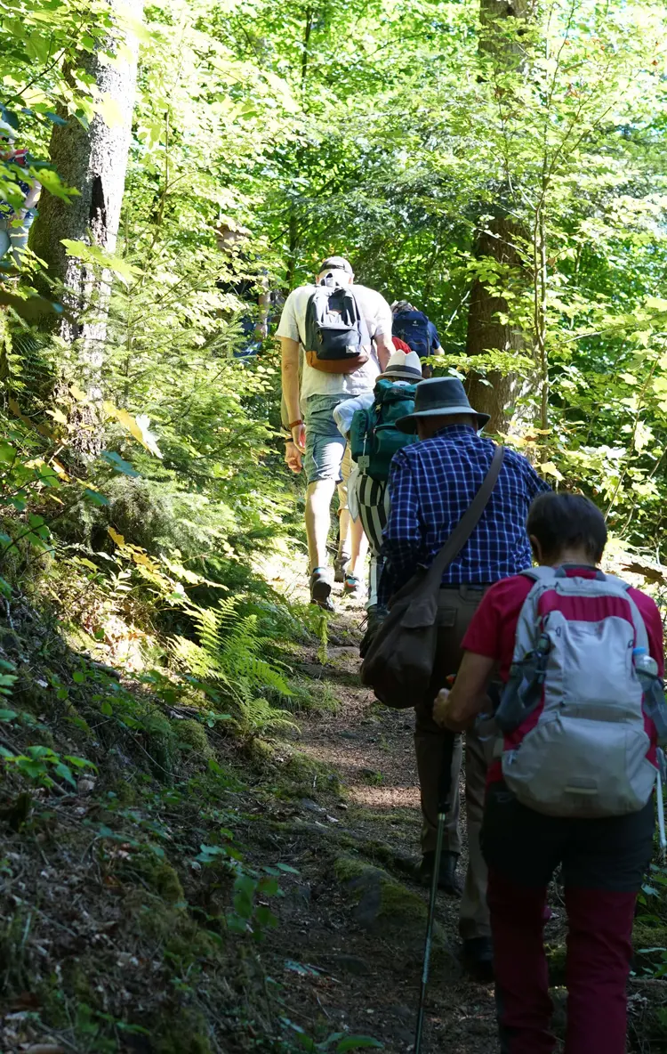 Hoch gehts zur Burg Hornberg, in der sich Brenz vor den Soldaten des Kaisers versteckte.
