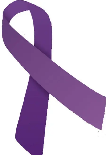 Die violette Schleife ist weltweit das Symbol gegen häusliche Gewalt.