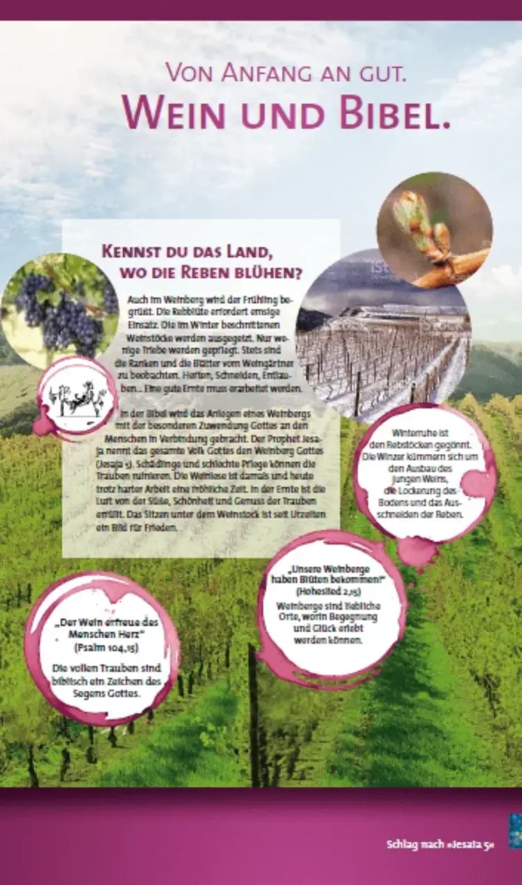 Die Wanderausstellung umfasst 12 verschiedene Tafeln.