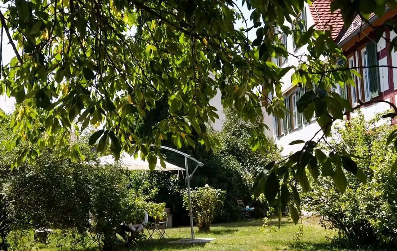 Blick in den Pfarrgarten.