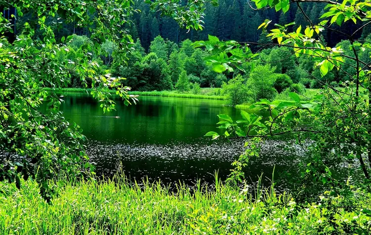 „Ich bin viel in Gottes Schöpfung unterwegs", betont Albrecht. Auf seiner Facebookseite zéigt er immer wieder Fotos von seinen Ausflügen.
