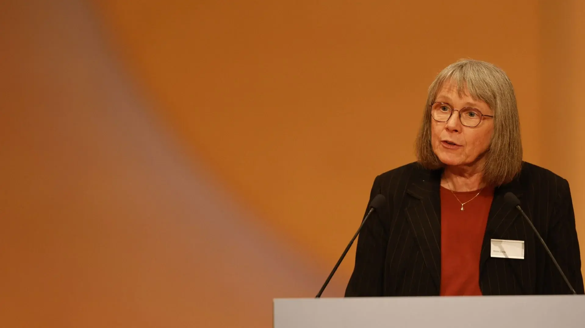 Sonderausschuss für inhaltliche Ausrichtung und Schwerpunkte