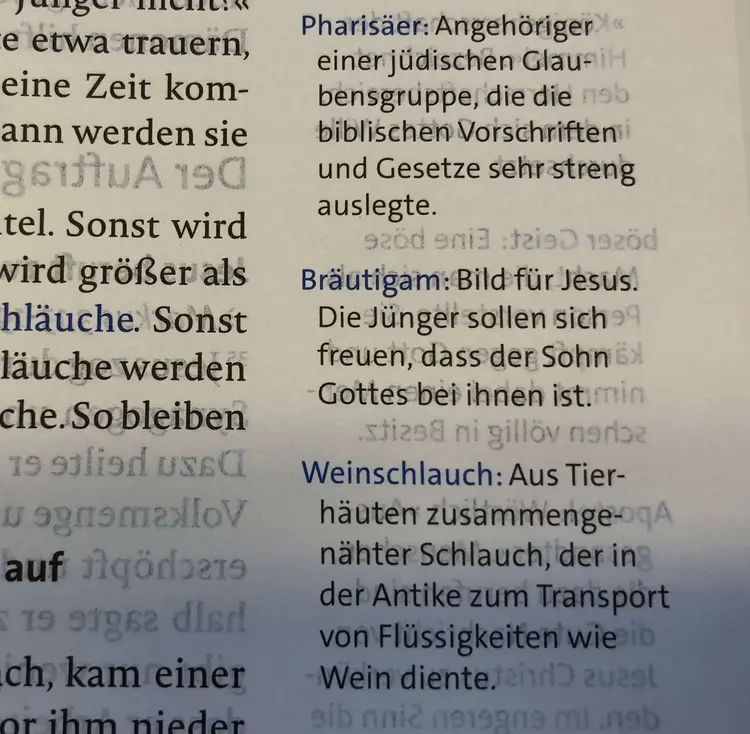 Ein wichtiger Bestandteil der Basisbibel sind die passgenauen Erkärungen am Rand.