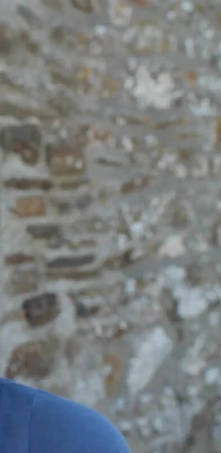 Pfarrerin Carola Münd