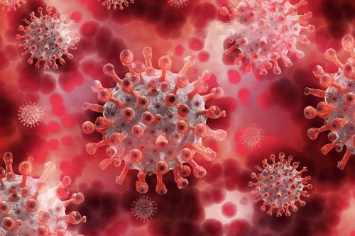 Virus Corona Pixabay Gerd Altmann 5174671 1920.jpg