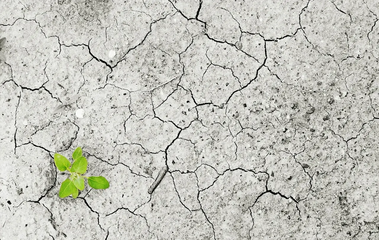 Anhaltende Dürre ist eines der großen Umweltprobleme in weiten Teilen der Welt.