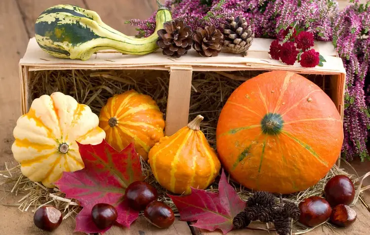 Am Sonnstag feiern viele Kirchengemeinden in Württemberg das Erntedankfest.