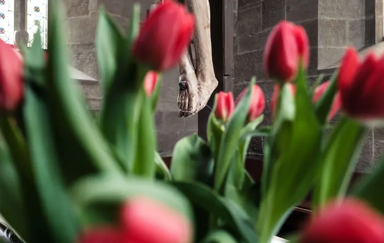 Im Kloster Gnadental waren Zisterzienserinnen heimisch.
